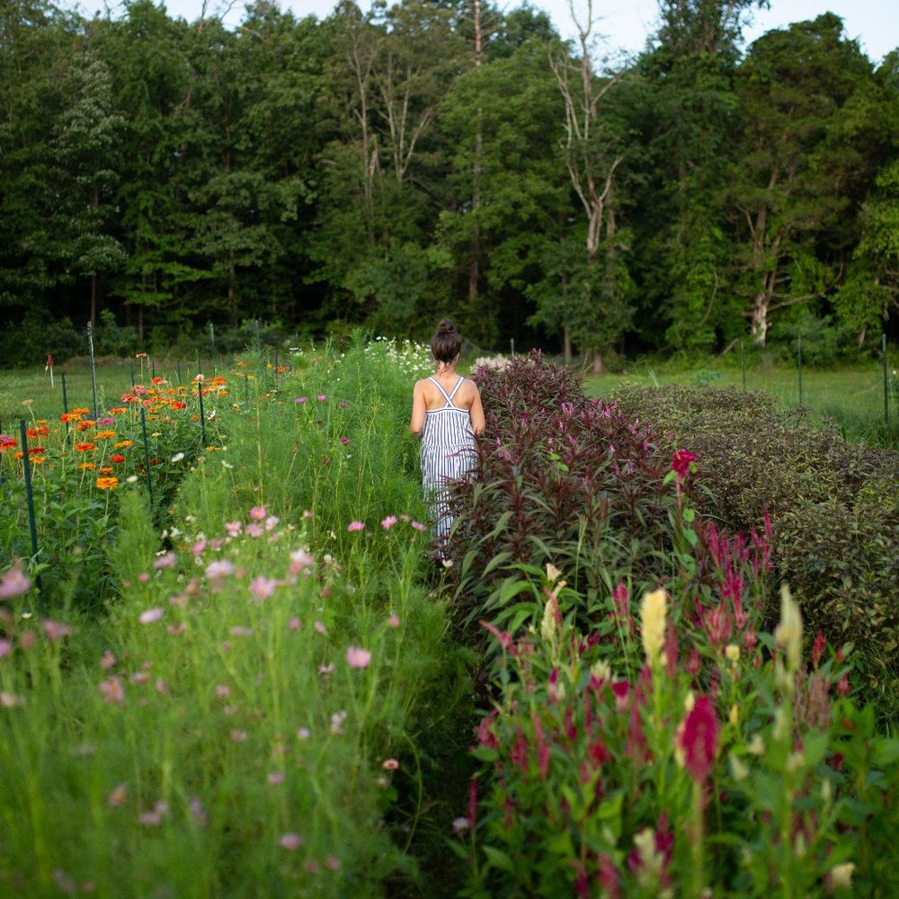 Meet your Posher, Lindsey